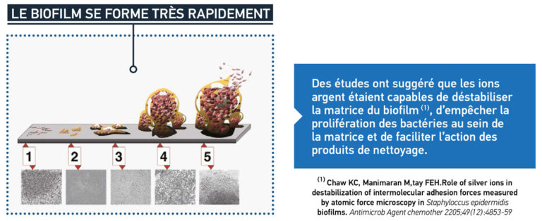 Film anti microbien Qualiglass