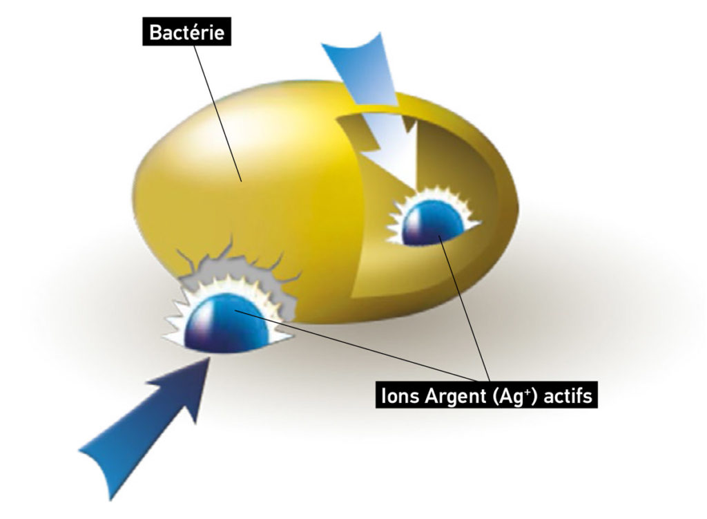 Film anti microbien Qualiglass